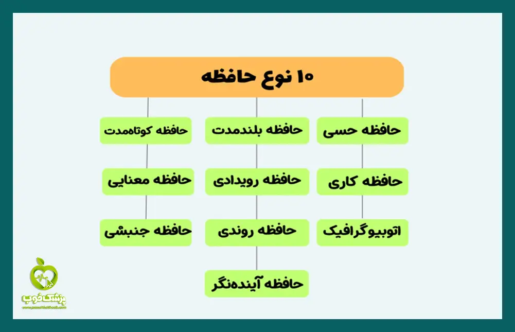 انواع حافظه کدامند؟
