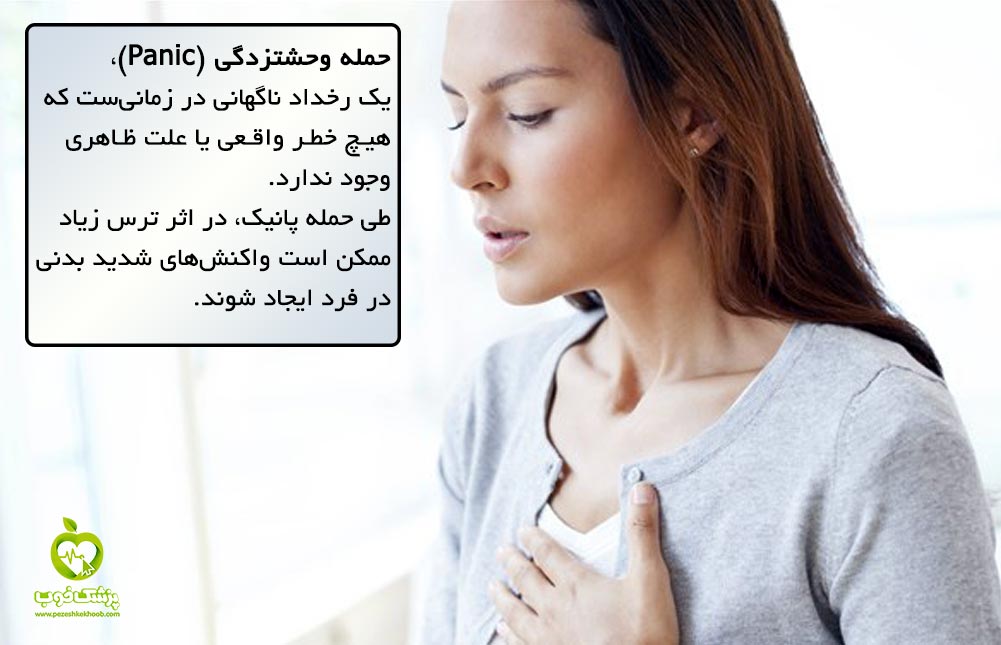 حمله وحشتزدگی