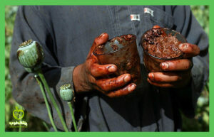 How does opium affect the body