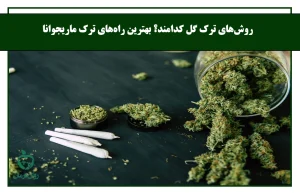 روش‌های ترک گل کدامند؟ بهترین راه‌های ترک ماریجوانا